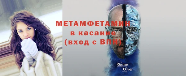 сатива Арсеньев
