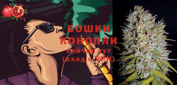 сатива Арсеньев
