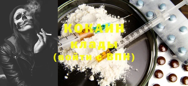 PSILOCYBIN Аркадак