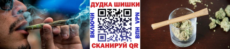 купить наркотики цена  кракен как зайти  Конопля сатива  shop состав  Бабаево 